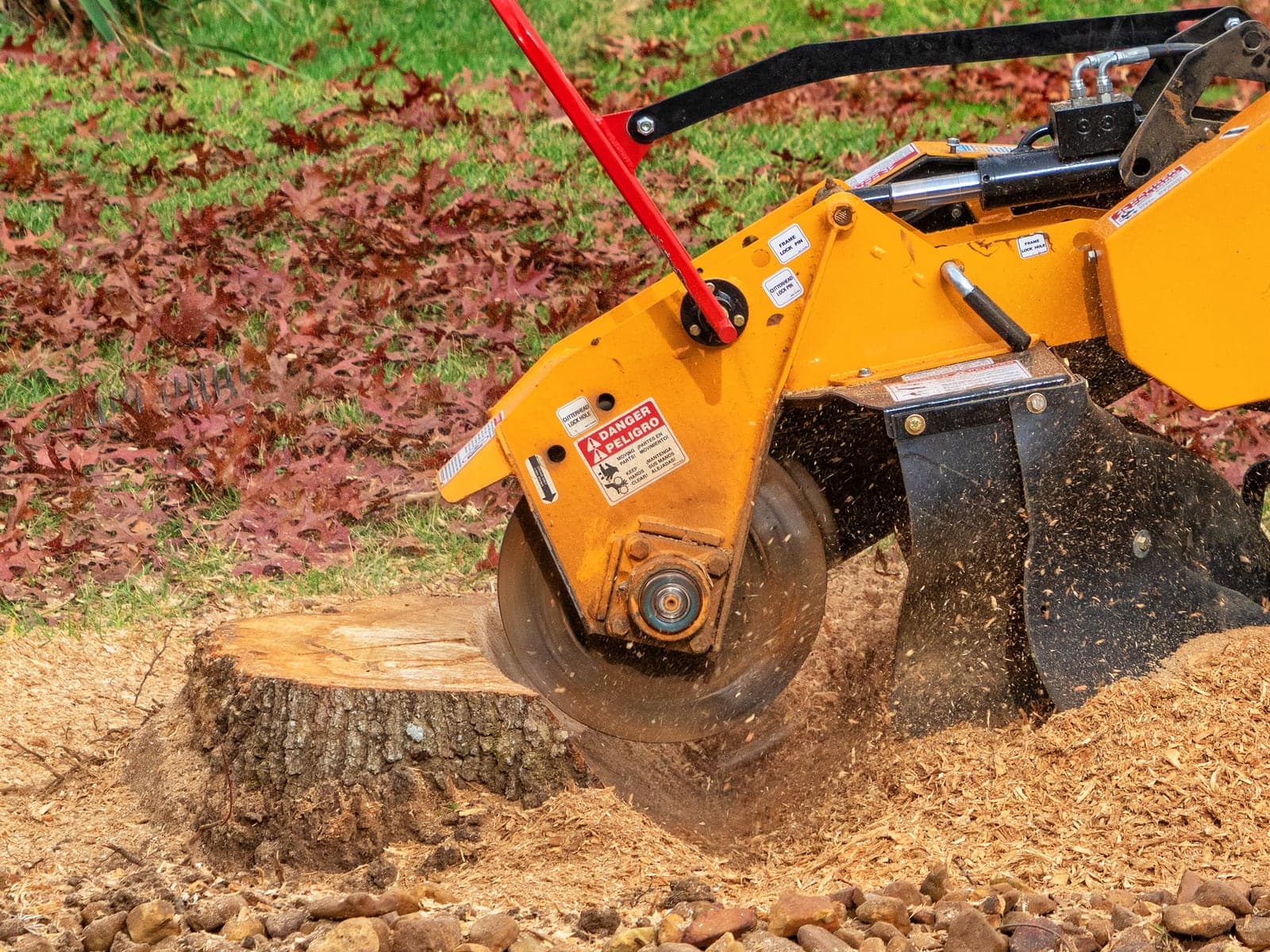 Stump Grinding in London: What Homeowners Should Know